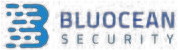BluOcean Security